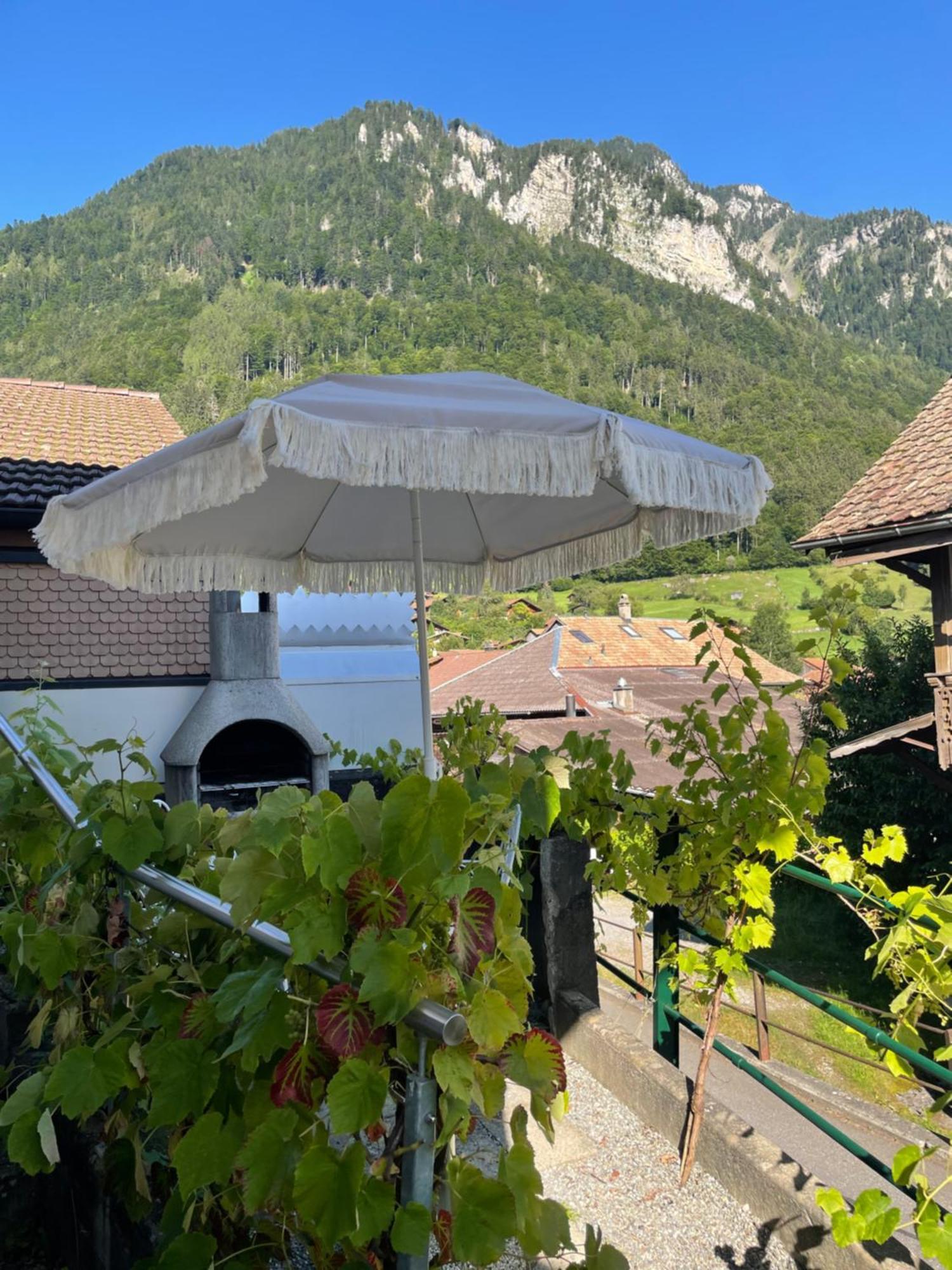 Studio In Alps By Apartments Capricorn Gsteigwiler Eksteriør bilde